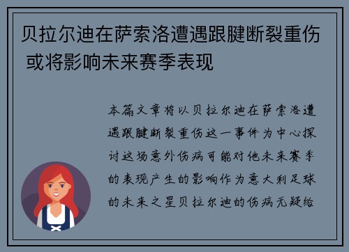 贝拉尔迪在萨索洛遭遇跟腱断裂重伤 或将影响未来赛季表现