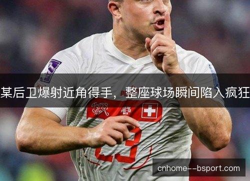 某后卫爆射近角得手，整座球场瞬间陷入疯狂